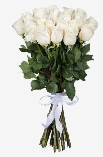 25 Rosas Brancas