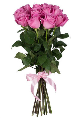 Rosas Cor de Rosa Premium Image