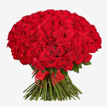150 Rosas Vermelhas