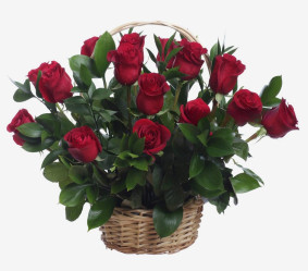 Cesta de Rosas Vermelhas