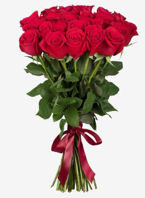 Rosas Vermelhas
