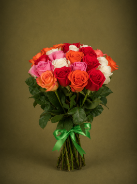 Rosas Arco-íris