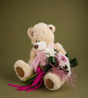 Urso de Peluche Romântico
